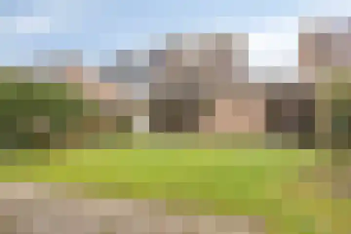 Eerste Morgen 7 's-Hertogenbosch thumbnail 21