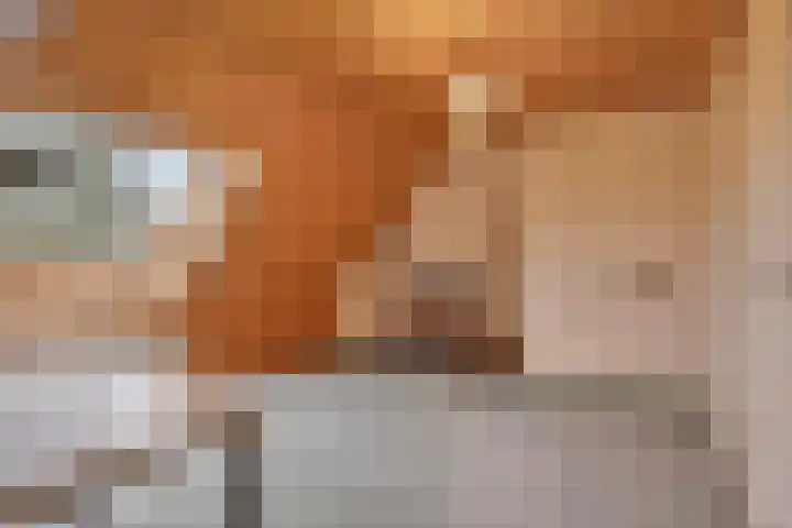 Eerste Morgen 7 's-Hertogenbosch thumbnail 38