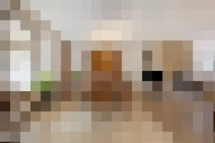 Eerste Morgen 7 's-Hertogenbosch thumbnail 4