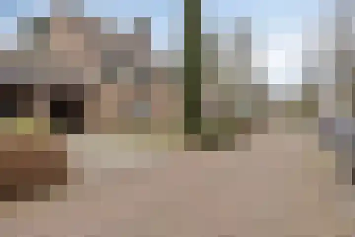 Eerste Morgen 7 's-Hertogenbosch thumbnail 40