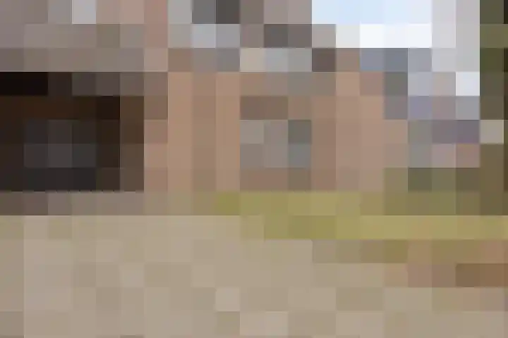 Eerste Morgen 7 's-Hertogenbosch thumbnail 41