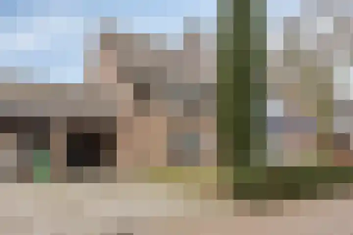 Eerste Morgen 7 's-Hertogenbosch thumbnail 43