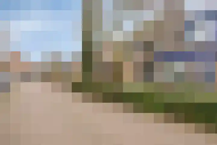 Eerste Morgen 7 's-Hertogenbosch thumbnail 46