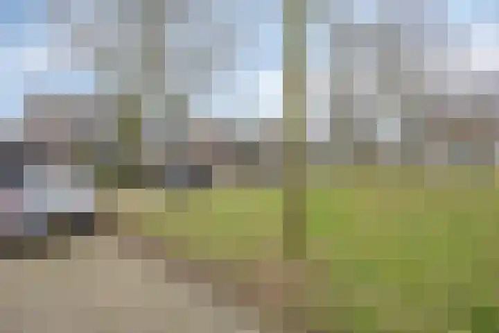 Eerste Morgen 7 's-Hertogenbosch thumbnail 49