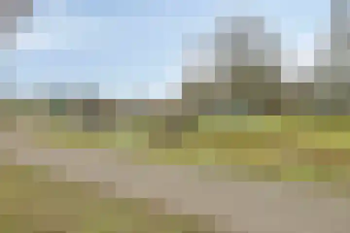 Eerste Morgen 7 's-Hertogenbosch thumbnail 50