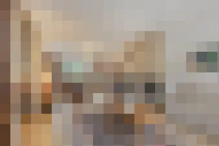Eerste Morgen 7 's-Hertogenbosch thumbnail 6