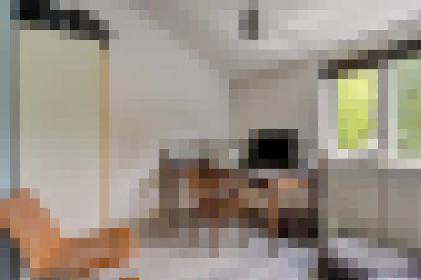Eerste Morgendreef 26 's-Hertogenbosch thumbnail 16