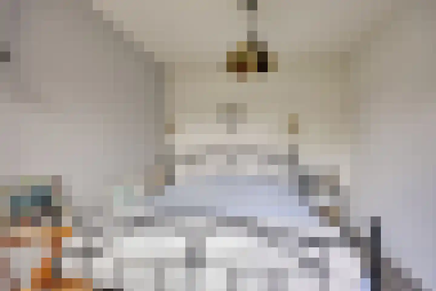 Eerste Morgendreef 26 's-Hertogenbosch thumbnail 19