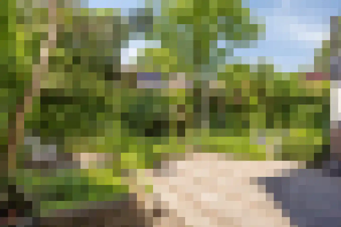 Eerste Morgendreef 26 's-Hertogenbosch thumbnail 22