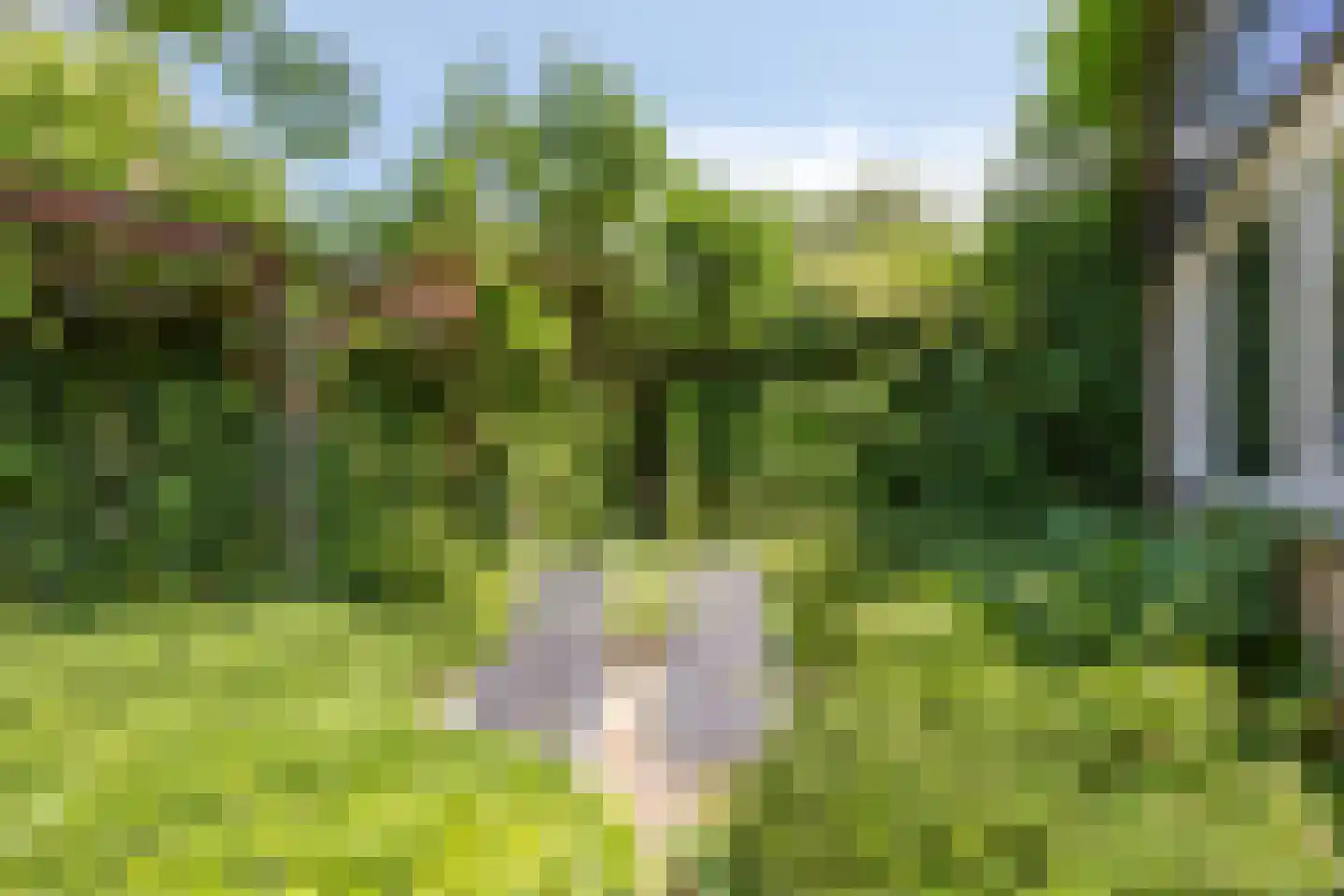 Eerste Morgendreef 26 's-Hertogenbosch thumbnail 23