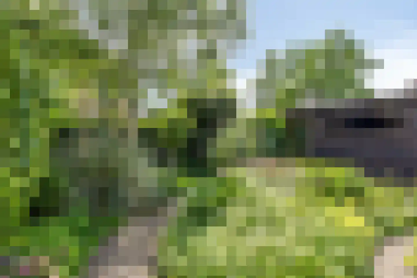 Eerste Morgendreef 26 's-Hertogenbosch thumbnail 25