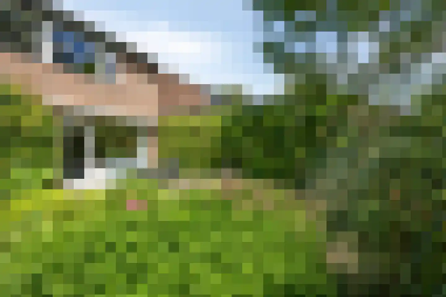 Eerste Morgendreef 26 's-Hertogenbosch thumbnail 26