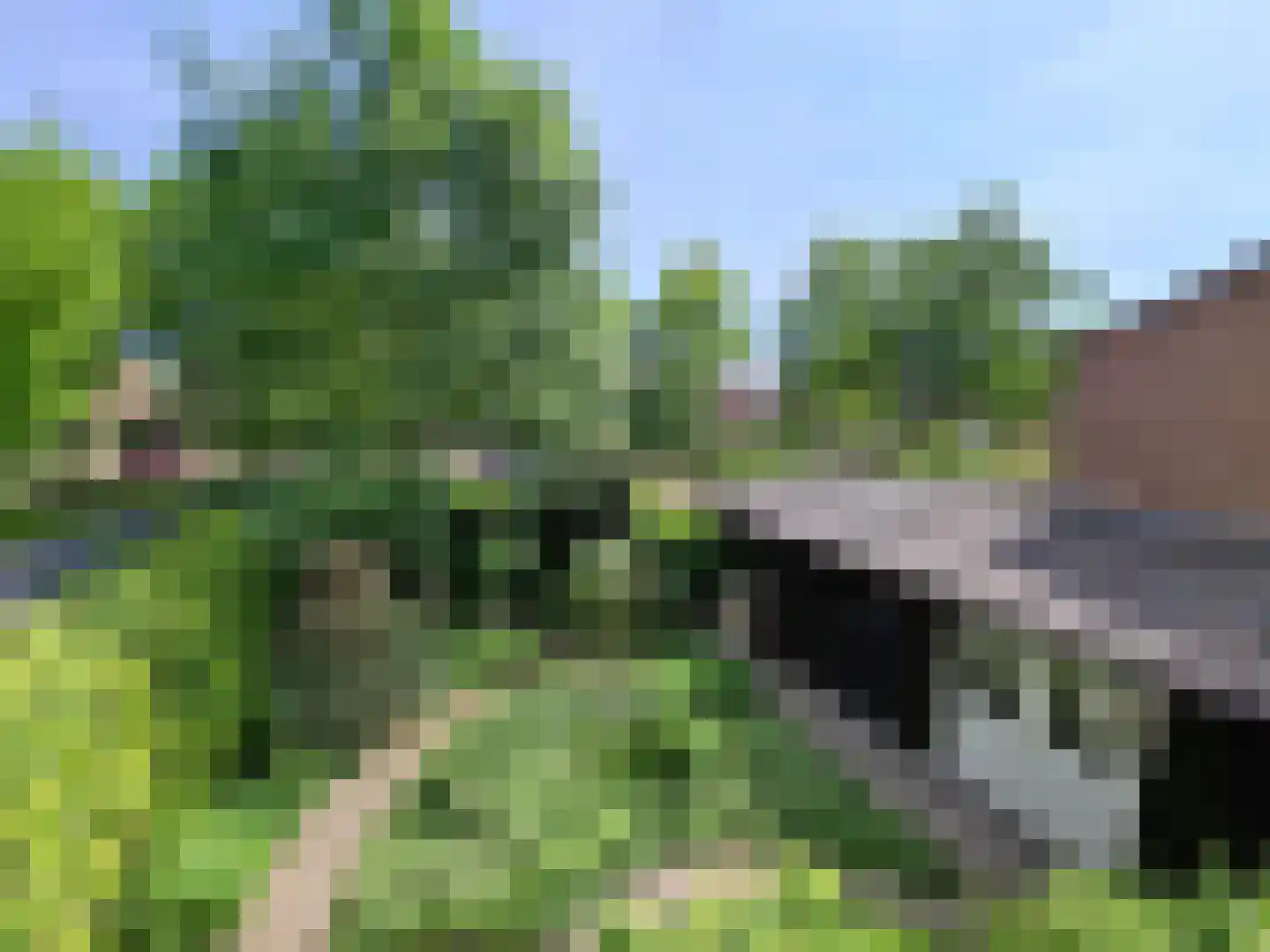 Eerste Morgendreef 26 's-Hertogenbosch thumbnail 33