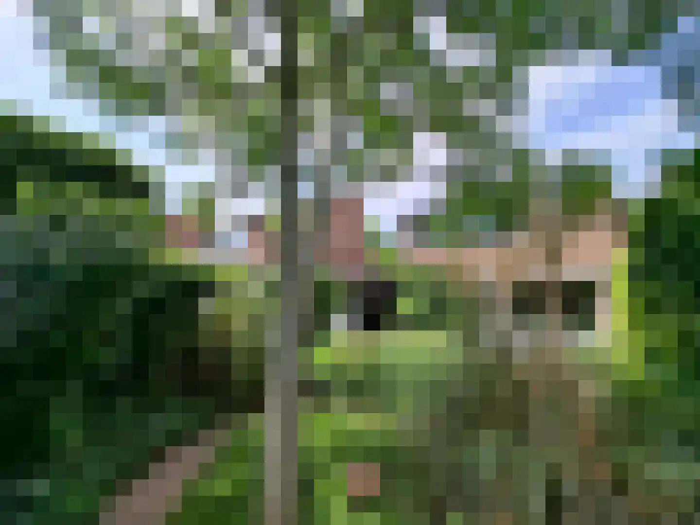 Eerste Morgendreef 26 's-Hertogenbosch thumbnail 35