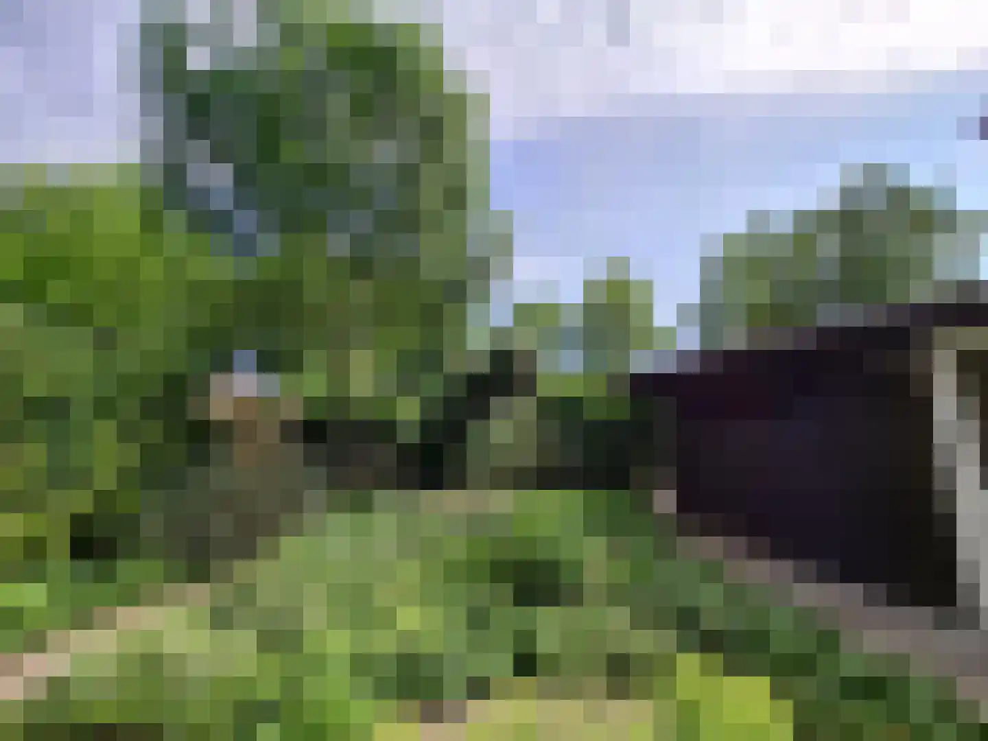 Eerste Morgendreef 26 's-Hertogenbosch thumbnail 37