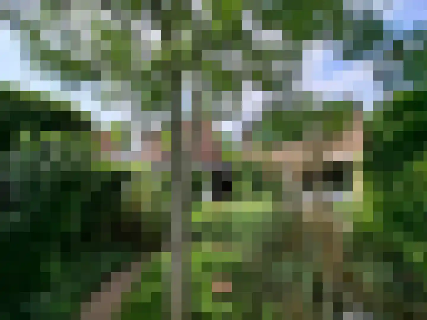 Eerste Morgendreef 26 's-Hertogenbosch thumbnail 38