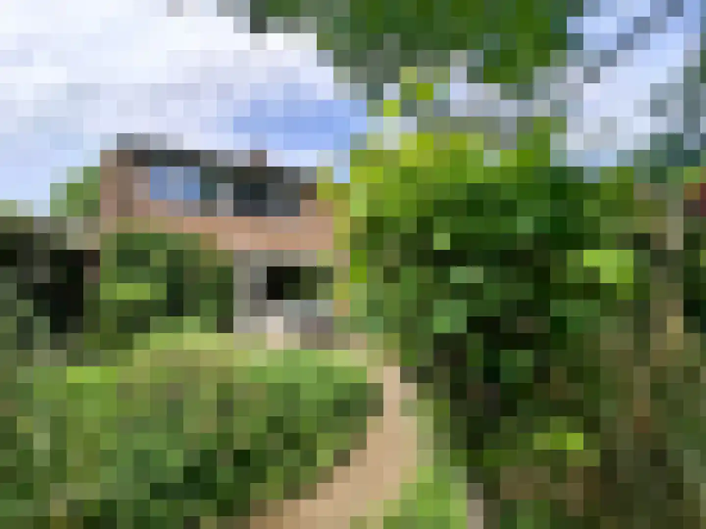 Eerste Morgendreef 26 's-Hertogenbosch thumbnail 39