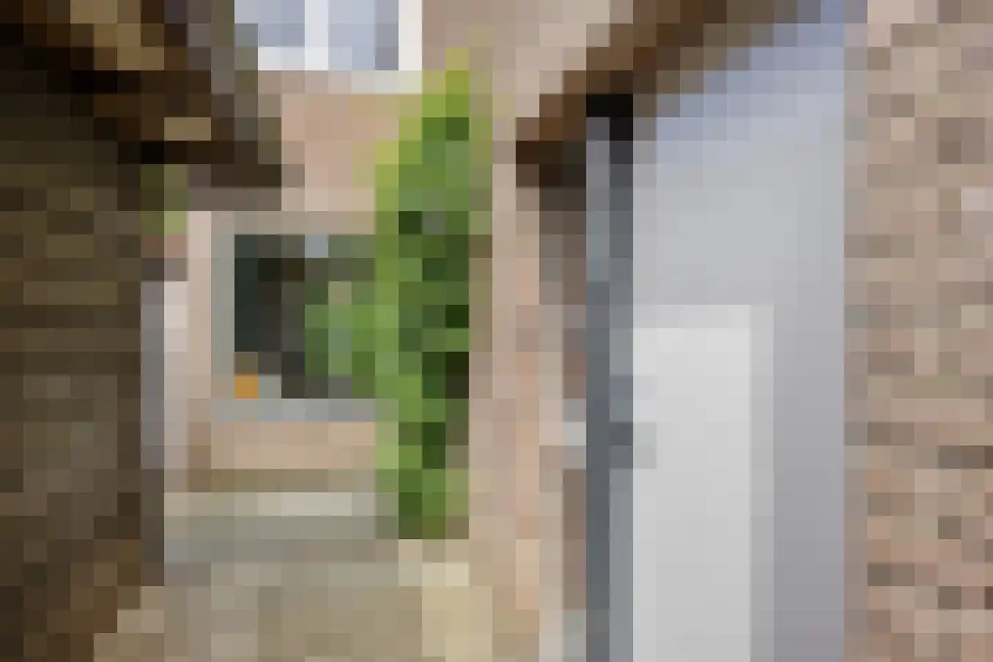 Eerste Morgendreef 26 's-Hertogenbosch thumbnail 40