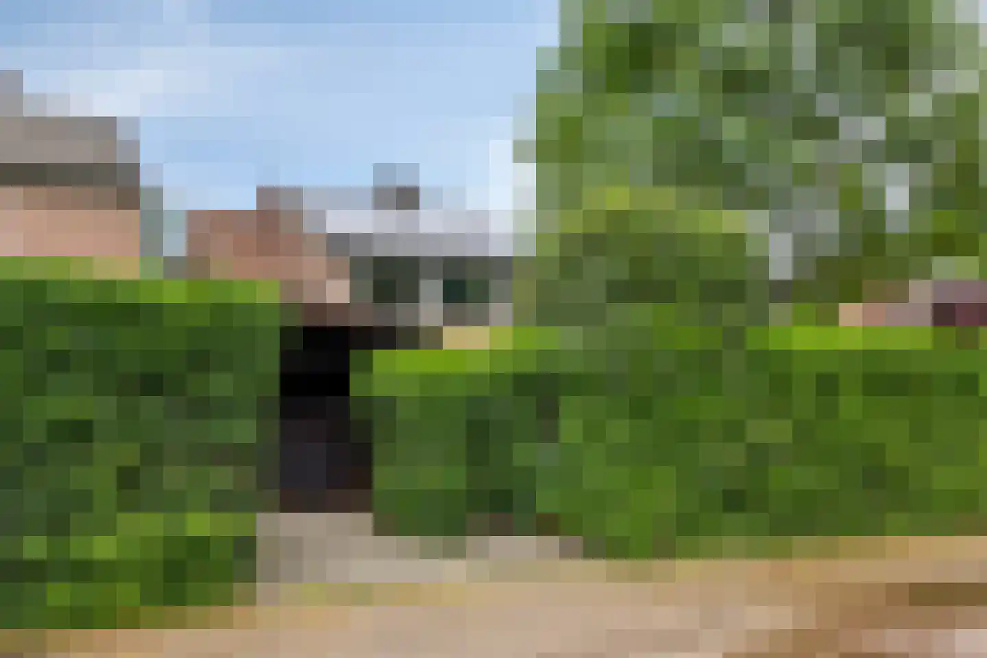 Eerste Morgendreef 26 's-Hertogenbosch thumbnail 41