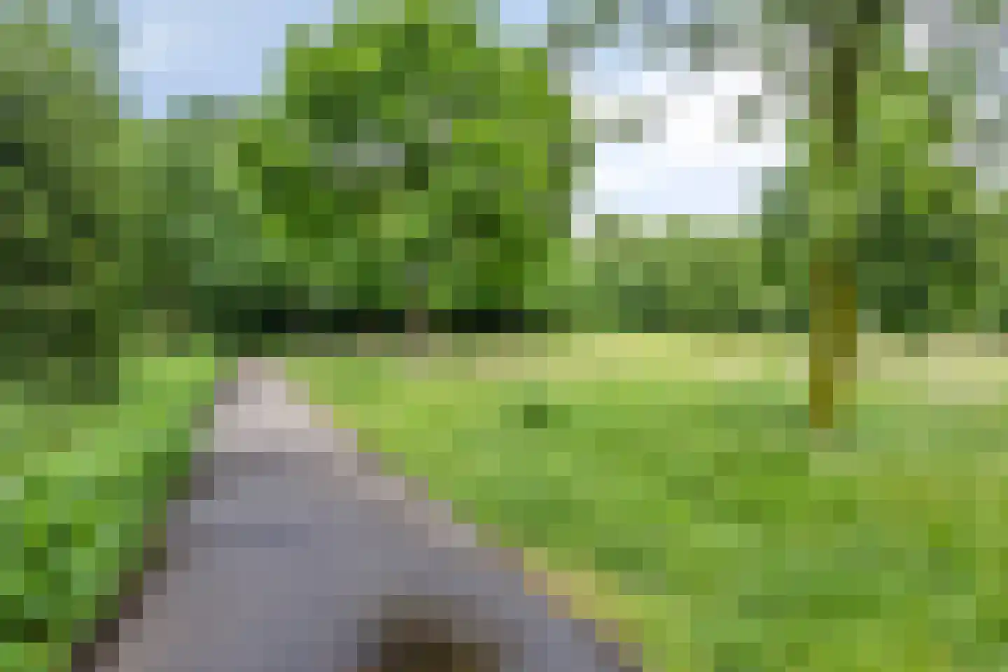Eerste Morgendreef 26 's-Hertogenbosch thumbnail 44