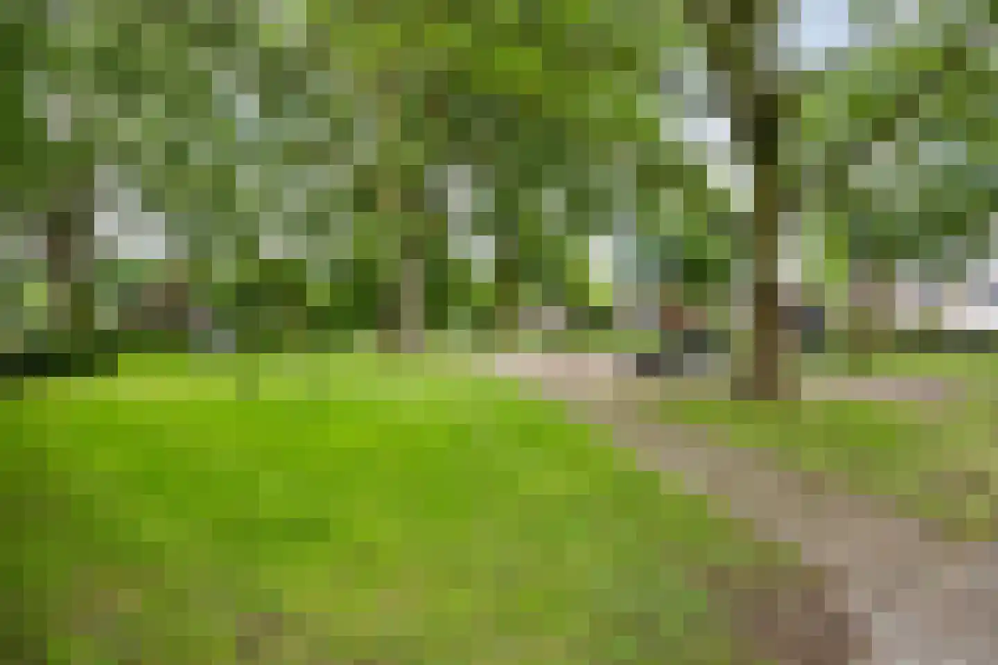 Eerste Morgendreef 26 's-Hertogenbosch thumbnail 46