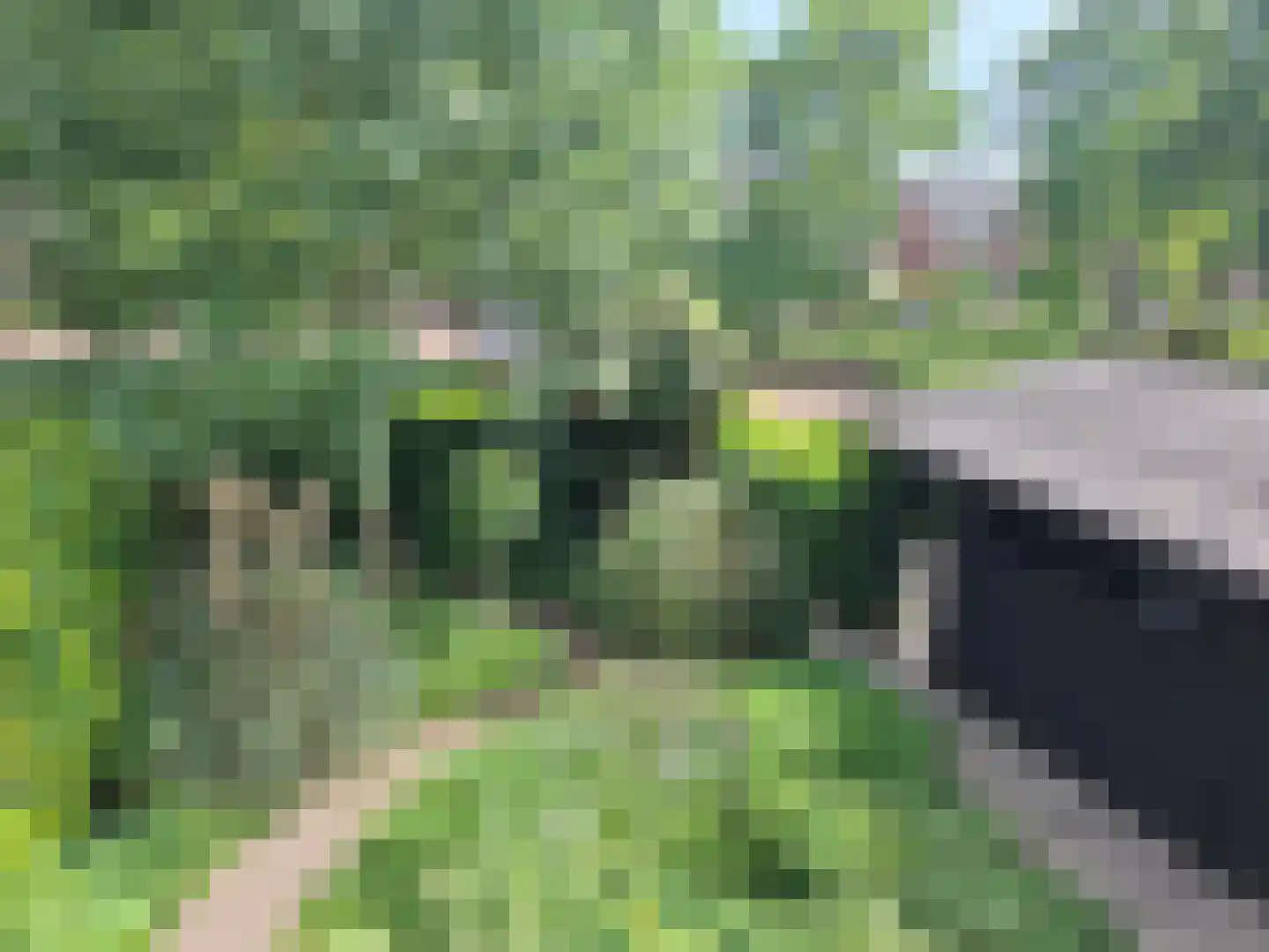 Eerste Morgendreef 26 's-Hertogenbosch thumbnail 5