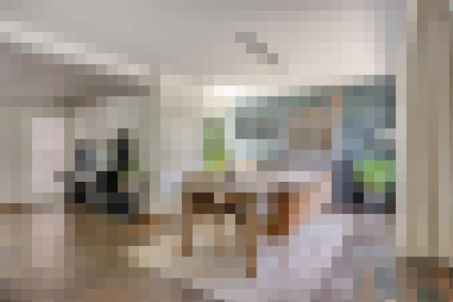 Eerste Morgendreef 26 's-Hertogenbosch thumbnail 8
