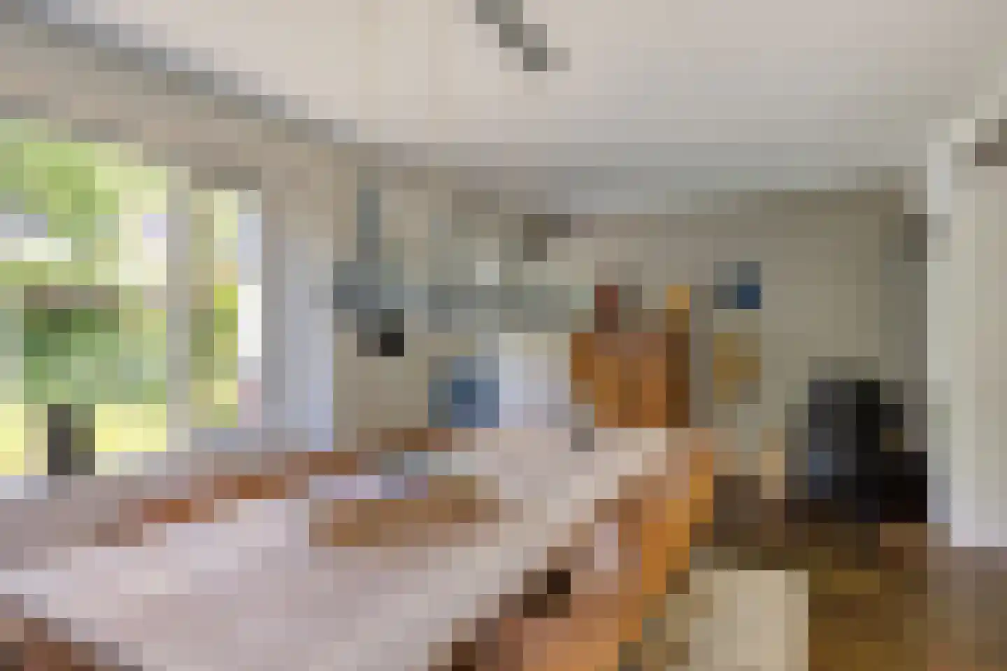 Eerste Morgendreef 26 's-Hertogenbosch thumbnail 9