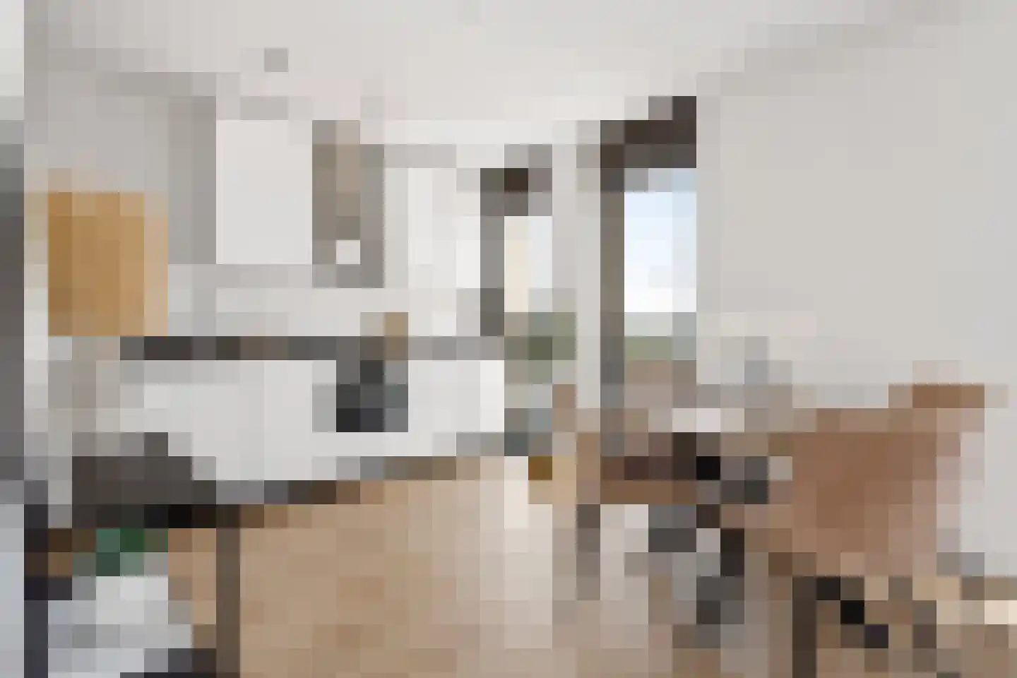 Eerste Muntmeesterslaan 107 Utrecht thumbnail 9