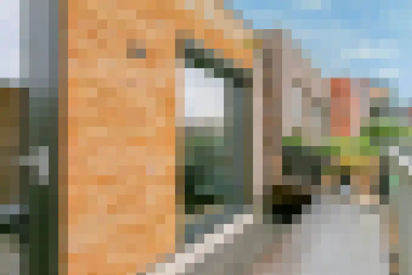 Eerste Muntmeesterslaan 53 Utrecht thumbnail 24