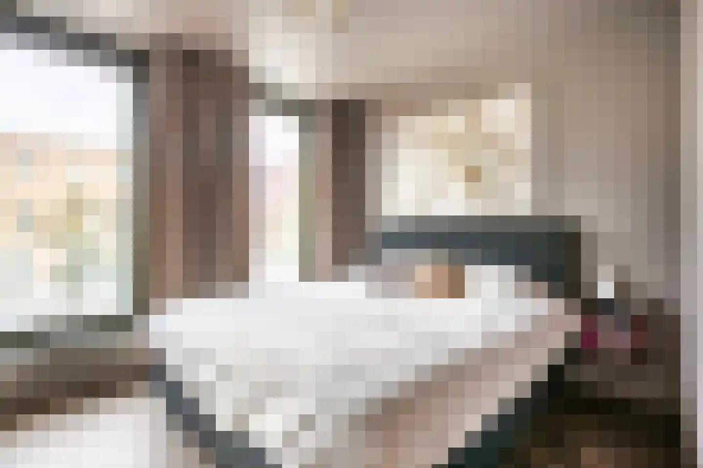 Eerste Muntmeesterslaan 53 Utrecht thumbnail 27