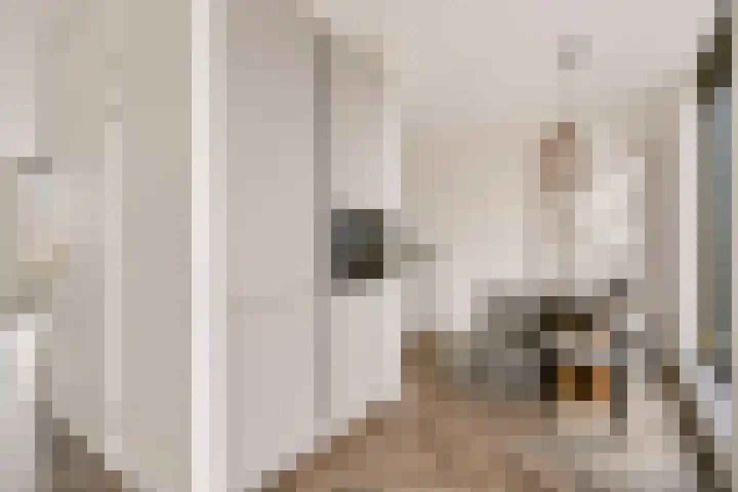 Eerste Muntmeesterslaan 53 Utrecht thumbnail 4