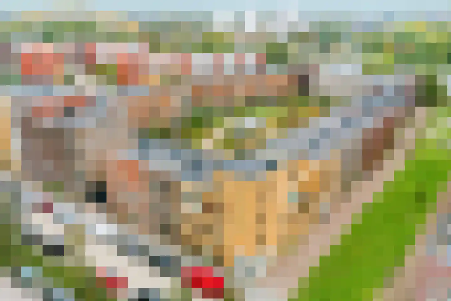 Eerste Muntmeesterslaan 53 Utrecht thumbnail 9