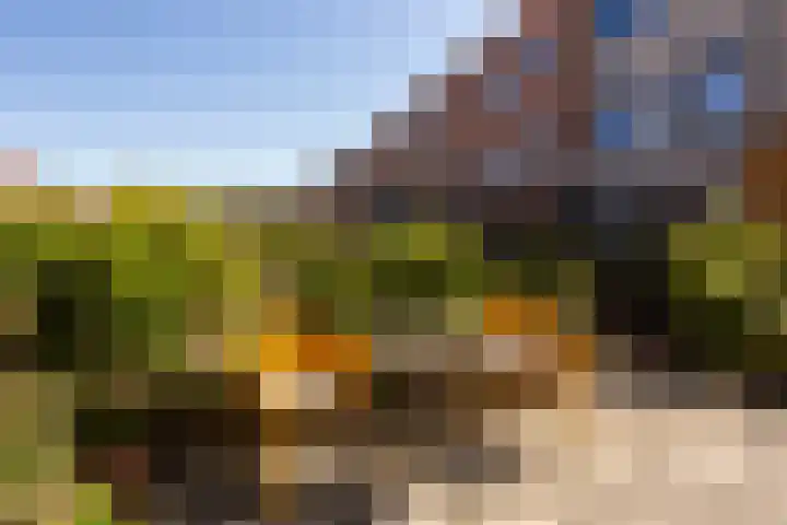 Eerste Muntmeesterslaan 59 Utrecht thumbnail 10