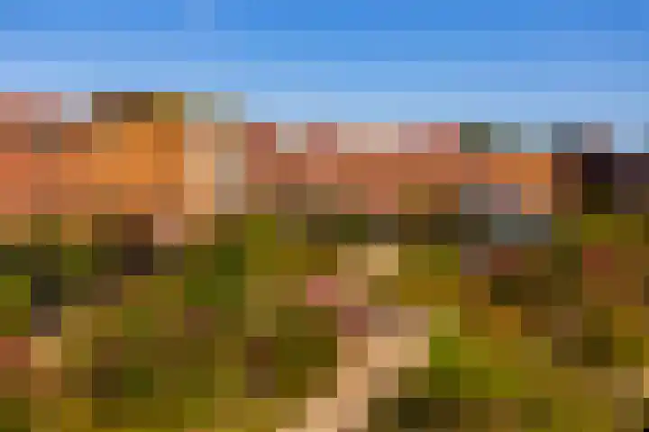 Eerste Muntmeesterslaan 59 Utrecht thumbnail 27