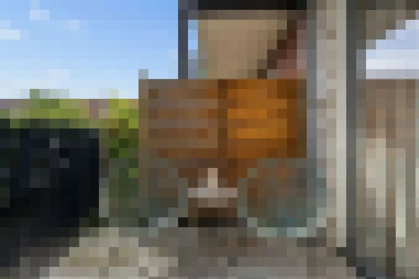 Eerste Muntmeesterslaan 73 Utrecht thumbnail 26
