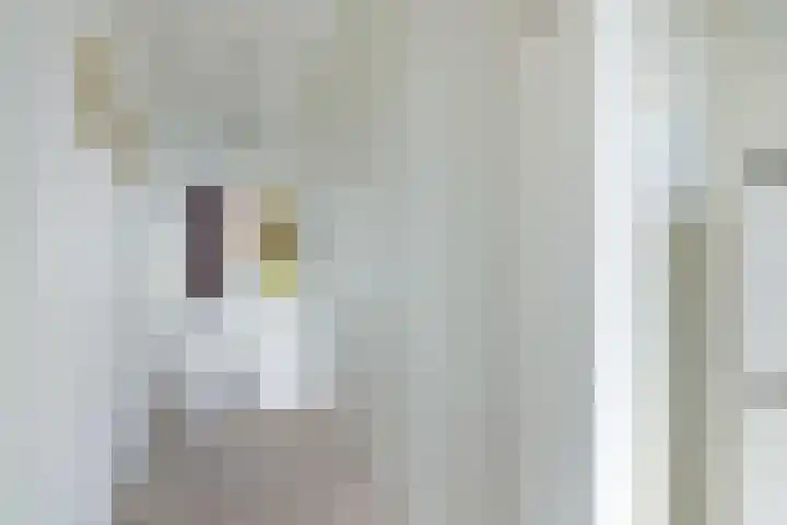 Eerste Muntmeesterslaan 89 Utrecht thumbnail 12