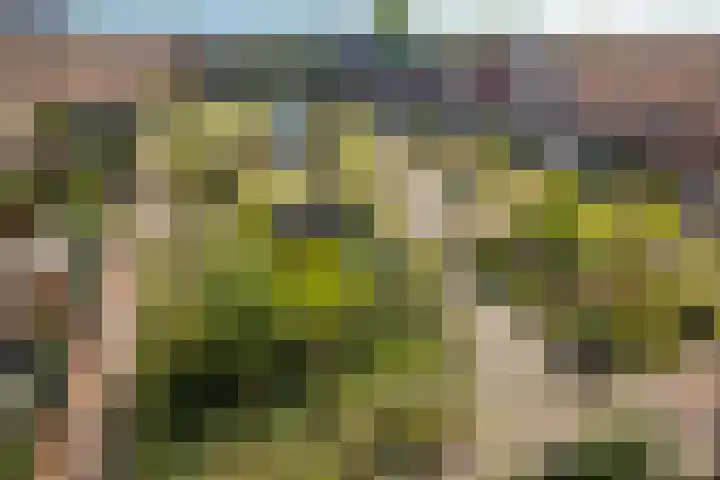Eerste Muntmeesterslaan 89 Utrecht thumbnail 29