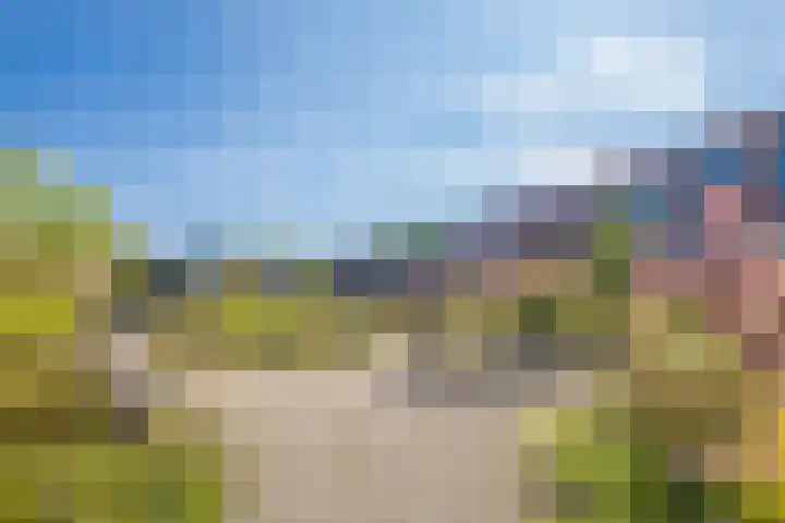 Eerste Muntmeesterslaan 89 Utrecht thumbnail 31