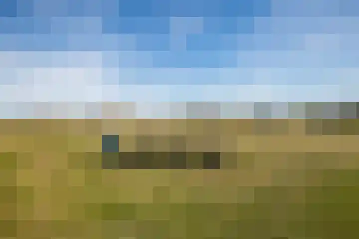 Eerste Muntmeesterslaan 89 Utrecht thumbnail 37