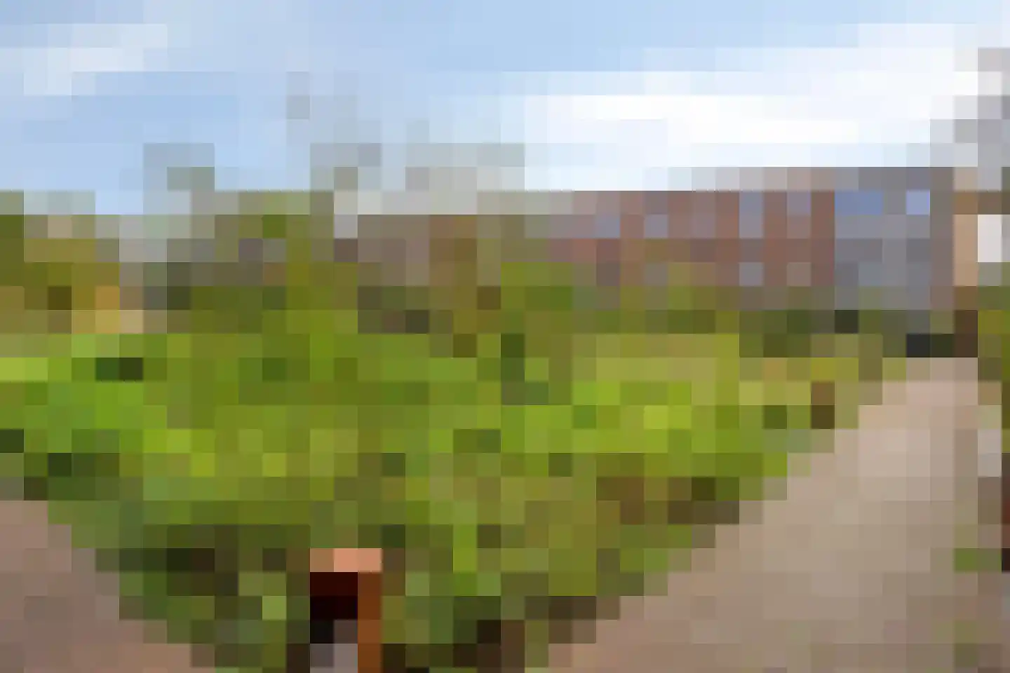 Eerste Muntmeesterslaan 97 Utrecht thumbnail 35