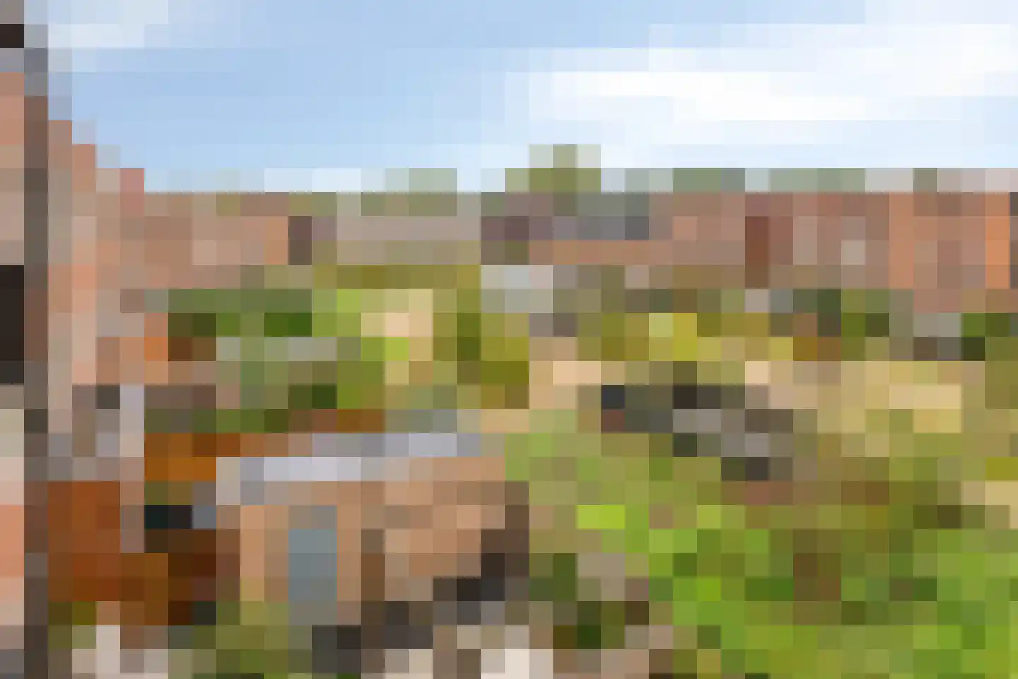 Eerste Muntmeesterslaan 97 Utrecht thumbnail 6