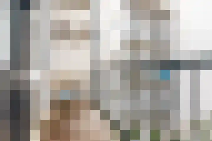 Eerste Nassaustraat 17 1 Amsterdam thumbnail 16