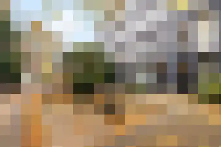 Eerste Nassaustraat 17 1 Amsterdam thumbnail 20