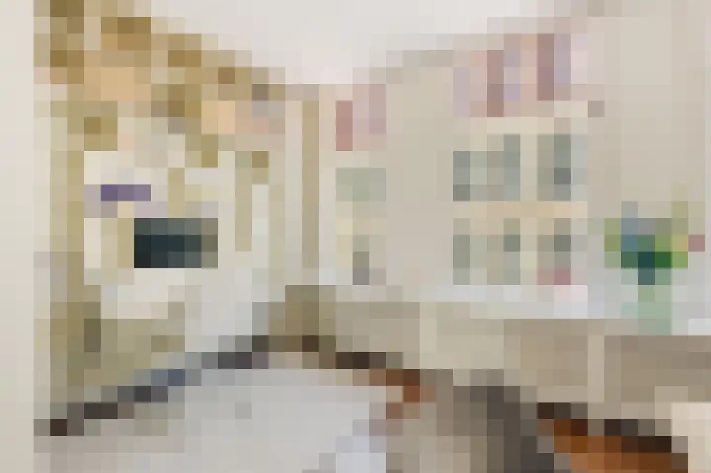 Eerste Nassaustraat 18 2 Amsterdam thumbnail 11
