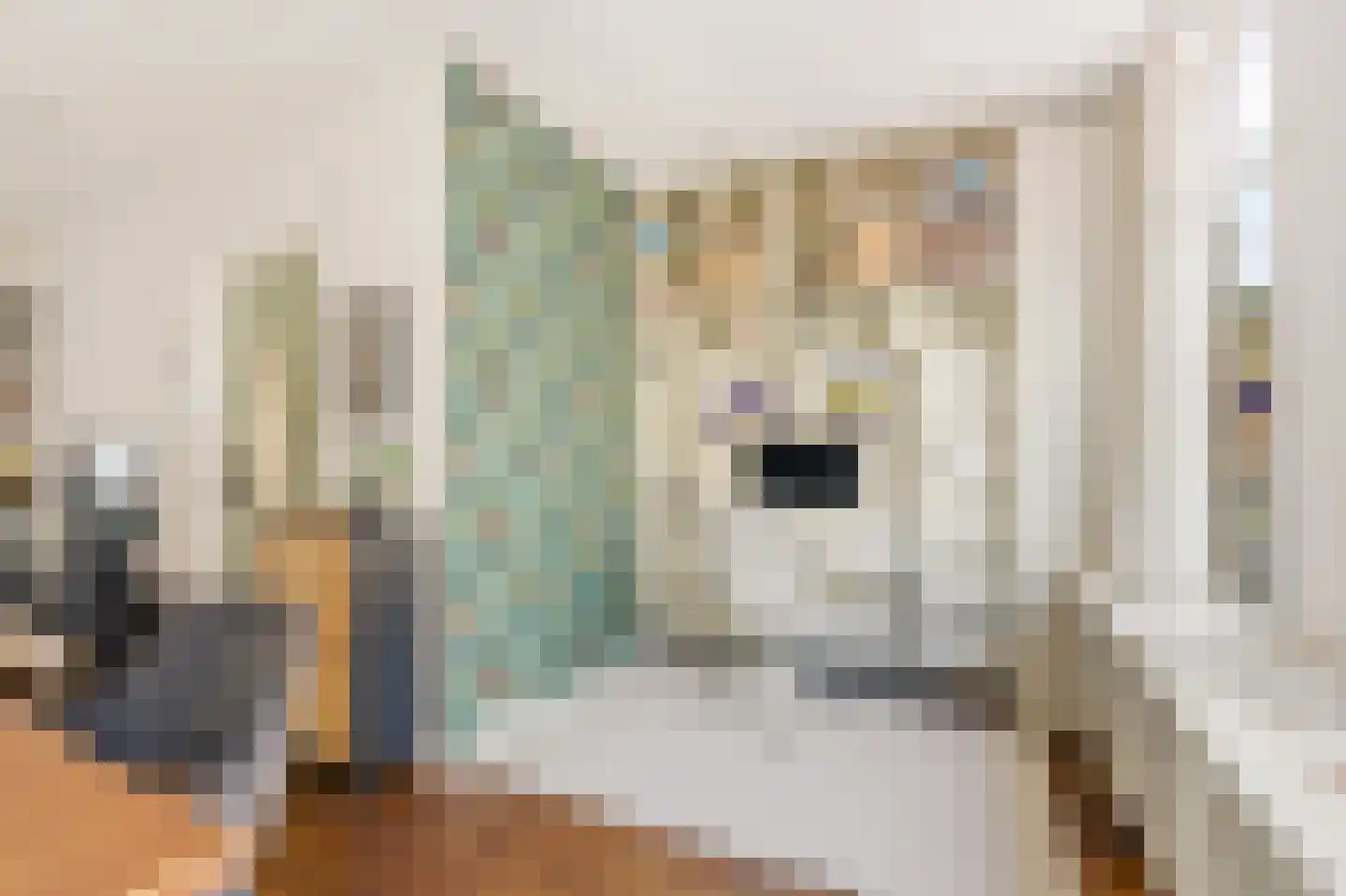 Eerste Nassaustraat 18 2 Amsterdam thumbnail 12