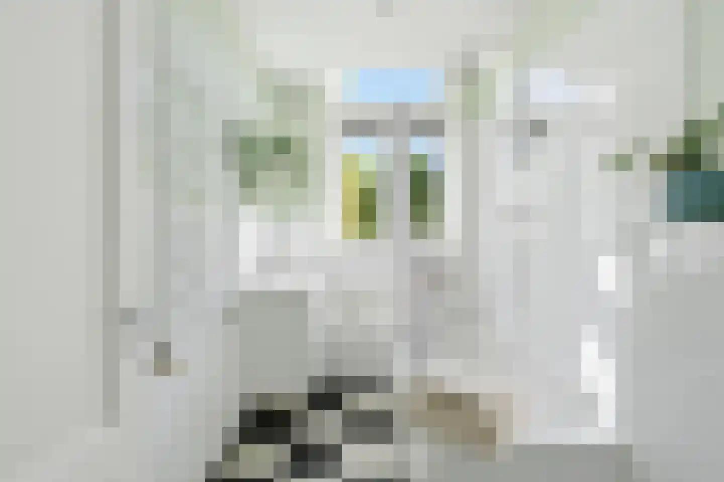 Eerste Nassaustraat 18 2 Amsterdam thumbnail 24