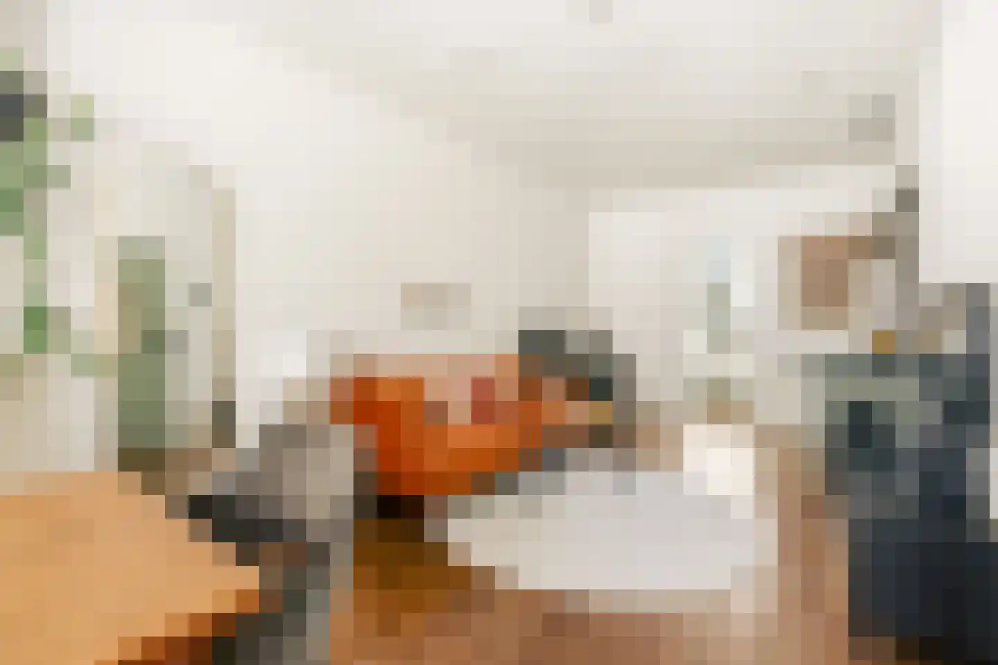 Eerste Nassaustraat 18 2 Amsterdam thumbnail 7