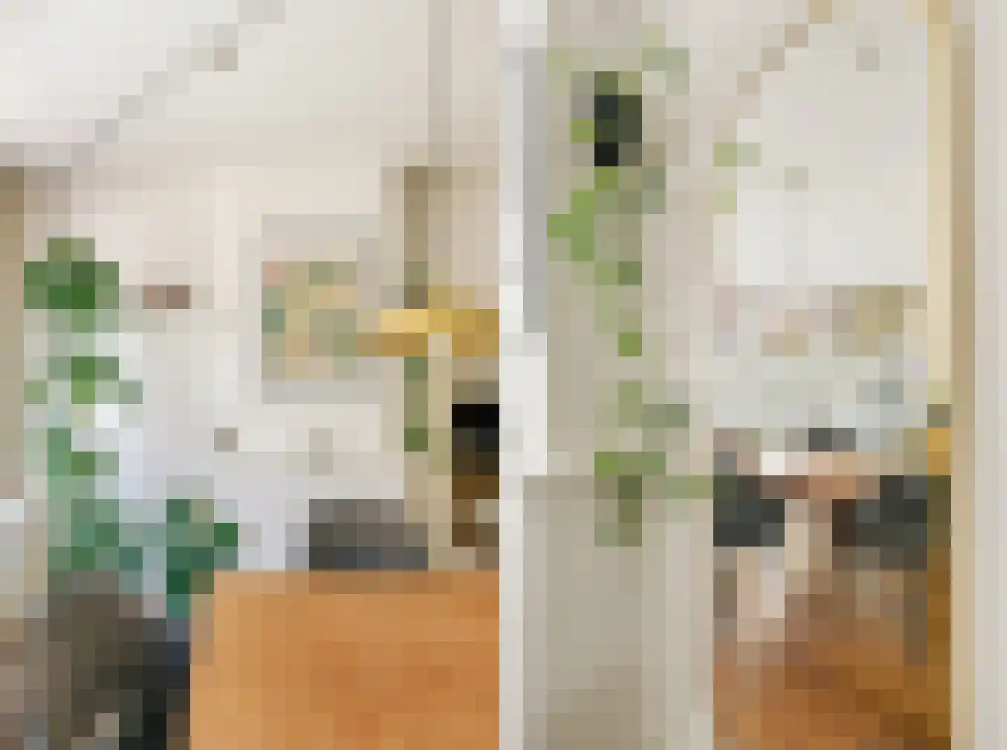 Eerste Nassaustraat 18 2 Amsterdam thumbnail 8