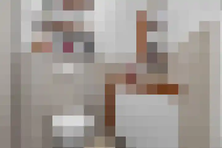 Eerste Nassaustraat 18 3 Amsterdam thumbnail 20